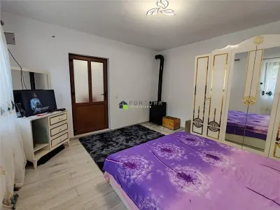 Casa Zizin , 221 mp teren , renovata - foto 9