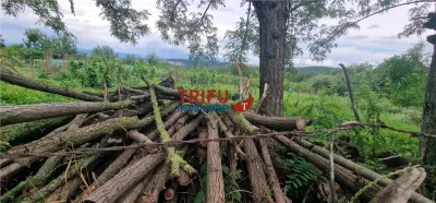 Teren intravilan de vânzare în Straja – ideal pentru casă de vacanță sau investiție turistică - foto 8