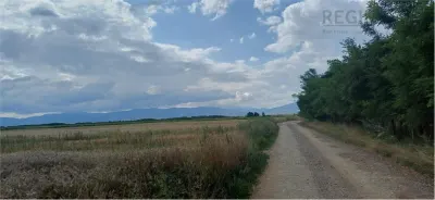 Teren pretabil exploatare balastiera Harman , parc industrial sau dezvoltare imobiliara - foto 6