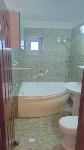 Apartament 3 camere zona Eroilor - foto 12
