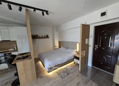 Studio modern, zona centrală – Mobilat și utilat | Ideal investiție - foto 2
