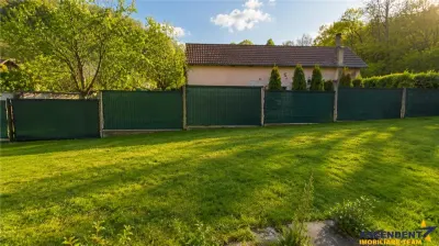 Pe domeniu de 1.750mp, rezidenta in Central, Sacele, Brasov - foto 3