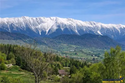 7.000 mp, pozitie spectaculoasa, fara vecini, Fundatica, Brasov - foto 6
