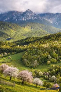 7.000 mp, pozitie spectaculoasa, fara vecini, Fundatica, Brasov - foto 7