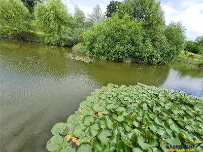 Domeniu de 30.000 mp + lac propriu +Vila protocol + Special - foto 12