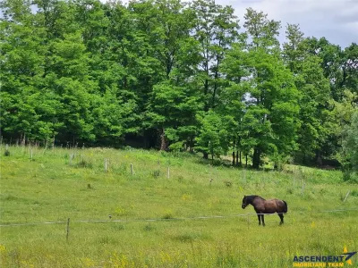 Domeniu de 30.000 mp + lac propriu +Vila protocol + Special - foto 14