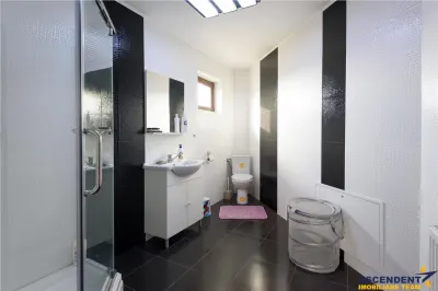 Vila eleganta, spatii generoase, conditii deosebite, Harman - foto 19