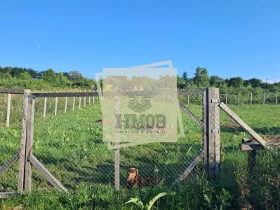 Teren intravilan Daia Noua 500 mp - foto 4
