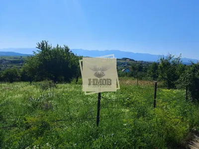 Teren Intravilan 960 mp Daia Noua - Daia