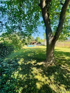 Casa de vanzare cu piscina  zona Vrancei - foto 10