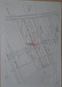 Vanzare teren Branesti Ilfov, 451mp - foto 2