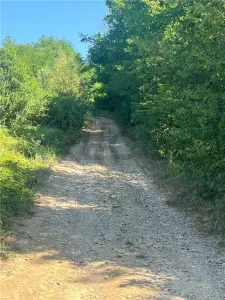 RECO Teren extravilan Lazareni 21400 mp - foto 2