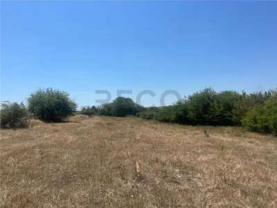 RECO Teren extravilan Holod 27400 mp - foto 2