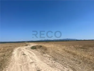 RECO Teren extravilan Ucuris- Olcea 44 000 mp - foto 2