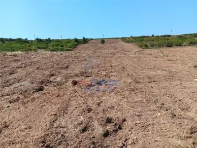 Ocazie! Sorogari TEREN 10000mp intravilan PUZ realizat si  toate utilitatile - foto 4