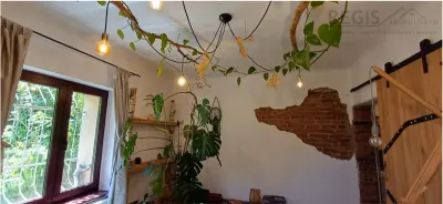 Apartament cochet,2 camere, ,cu gradina,la casa Ultracentral,Dealul Cetatii - foto 6