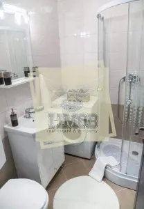 Apartament 2 camere cartier Vasile Aaron - foto 5