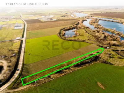 RECO Teren extravilan 2500mp in Palota - foto 3