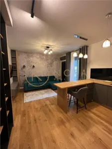 Inchiriere apartament cu 2 camere  Herastrau parcare, boxa - foto 10