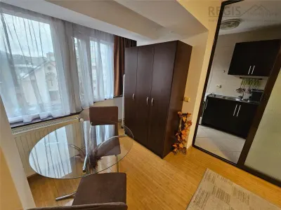 Garsoniera Toamnei - CENTRUL CIVIC - AFI  - PET FRIENDLY - foto 4