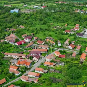 Casa eleganta, curte amenajata, garaj, Brancovenesti, Mures - foto 14