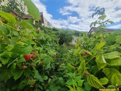 Poveste saseasca la umbra vitei de vie,cu crama,gradina flori,Central,Codlea - foto 12