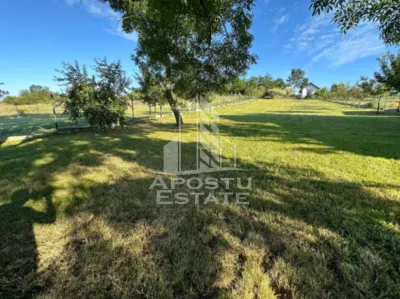 Casa de vacanta cu. teren 31.300  Nadas, 38 km de Timisoara. - foto 11