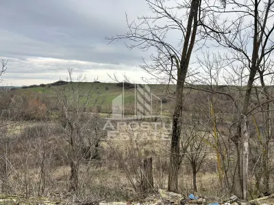 Teren 3920 mp, de vanzare, ideal casa de vacanta, Herneacova. - foto 2