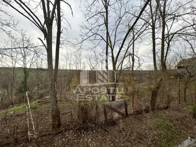 Teren 3920 mp, de vanzare, ideal casa de vacanta, Herneacova. - foto 4