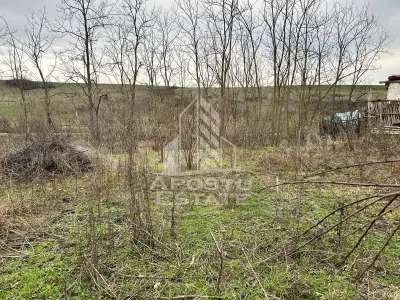 Teren 3920 mp, de vanzare, ideal casa de vacanta, Herneacova. - foto 5