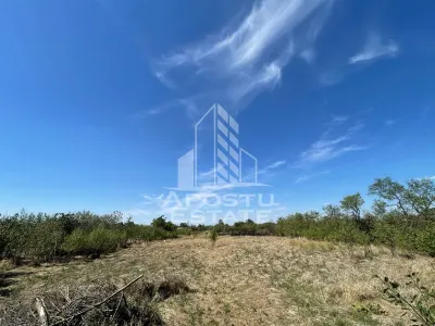 Casa cu teren 3407 mp, de vanzare, Seceani, 26 km de Timisoara. - foto 3