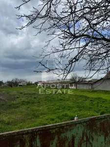Teren intravilan 2766 mp in Dinias 20km de Timisoara - foto 2