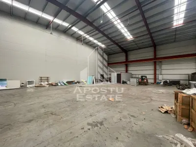 Hala 600 mp constructie noua, de inchiriat,  Sacalaz - Sacalaz