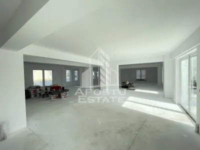 Spatiu comercial 238 mp, zona Lipovei , artera circulata - foto 3