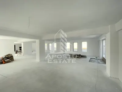 Spatiu comercial 238 mp, zona Lipovei , artera circulata - foto 5