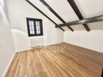 Casa cu 5 camere de inchiriat, curte proprie, Sanmihaiu Roman, Timis - foto 2