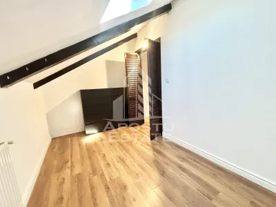 Casa cu 5 camere de inchiriat, curte proprie, Sanmihaiu Roman, Timis - foto 8