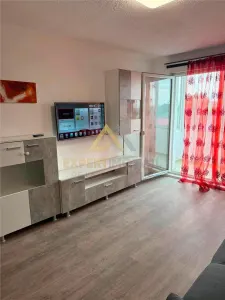 APARTAMENT MODERN CU 2 CAMERE IN SACALASENI LA DOAR 45.000 EURO - foto 4