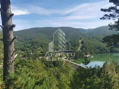 Teren intravilan, 2000mp, cu vedere panoramica spre lacul Valiug - foto 6