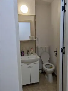Sagului, apartament 2 camere, renovat, etaj 1 - foto 6