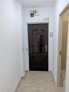 Sagului, apartament 2 camere, renovat, etaj 1 - foto 7