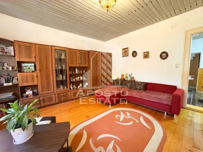 Casa individuala la sat, 5 camere, in Voiteg, judetul Timis - foto 2