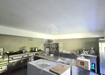 Spatiu comercial de vanzare - Strandul Neptun Arad (fostul Vox Maris) - foto 6