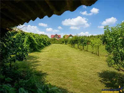 Casa solida, teren 919mp, 2 accesuri, configuratie si pentru 2 familii, Sanpetru, Brasov - foto 5