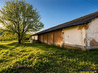 Spatiu comercial/ Industrial multifunctional: productie,depozitare,logistica,Raciu,Mures. - foto 4