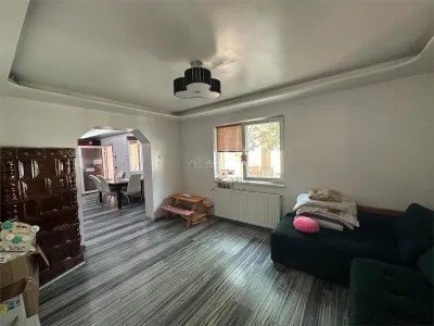 Bocsa Montana, 2 Case direct la Soseaua Principala, la pret de una - foto 5