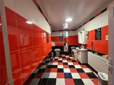 Bocsa Montana, 2 Case direct la Soseaua Principala, la pret de una - foto 10