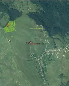 Teren extravilan 4.500 mp în Ciurila – natură, liniște și intimitate, aproape de zona împădurită - Ciurila