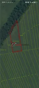 Teren extravilan 4.500 mp în Ciurila – natură, liniște și intimitate, aproape de zona împădurită - foto 2