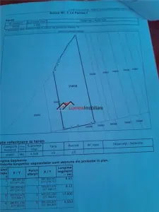 Teren extravilan 4.500 mp în Ciurila – natură, liniște și intimitate, aproape de zona împădurită - foto 3